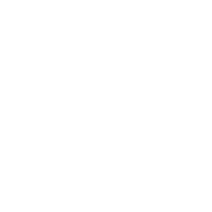 FL Arts Culture Logo(wht)