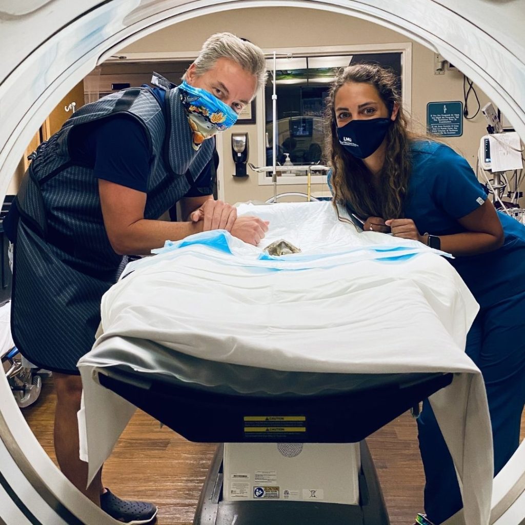Loggerhead Marinelife Center collaborated with Jupiter Medical Center to conduct more CT scans on sea turtles, making it one of the many research highlights of 2020.