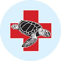 placeholder image of turtle with red cross