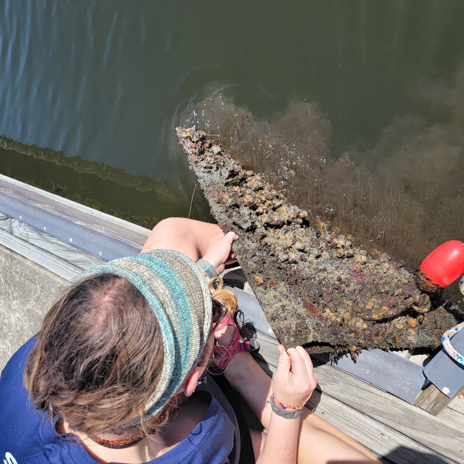 Biofouling Community Exploration - Loggerhead Marinelife Center